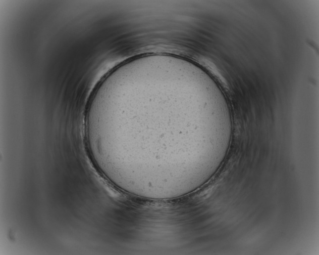 X0000096941040200803071002