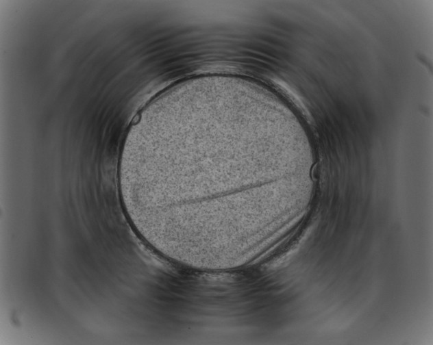 X0000096941041200803071002