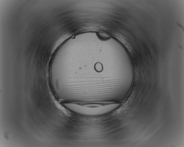 X0000096941042200803071002