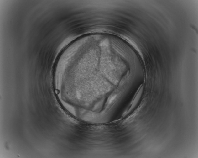 X0000096941045200803071002