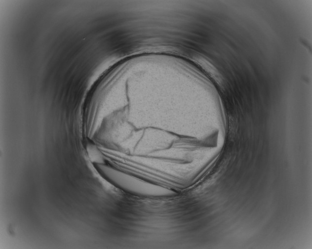 X0000096941046200803071002