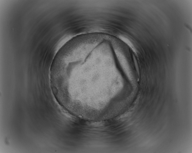 X0000096941047200803071002