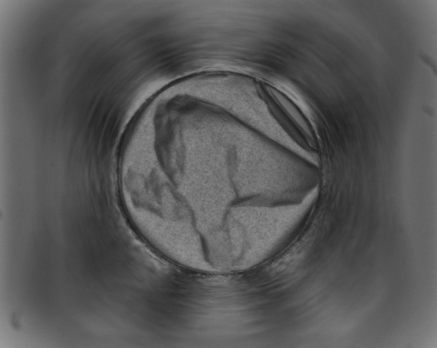X0000096941048200803071002