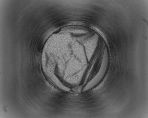 X0000096941049200803071002