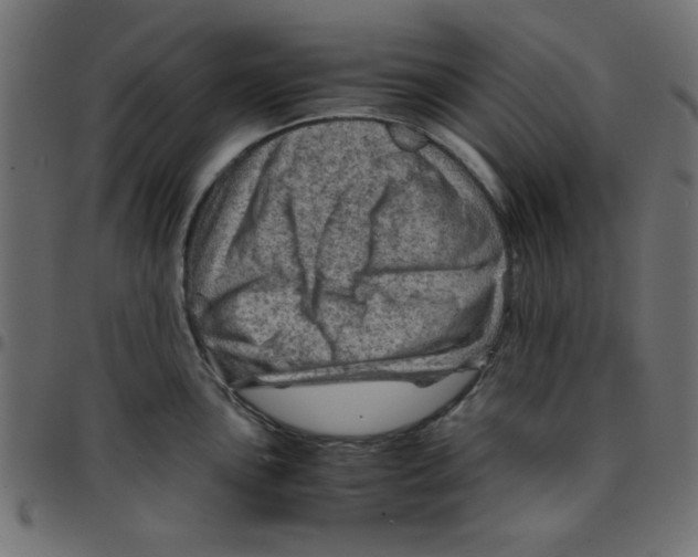 X0000096941051200803071002