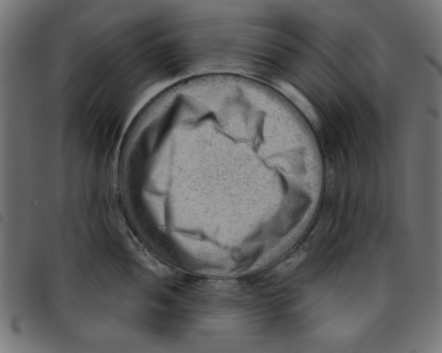 X0000096941052200803071002