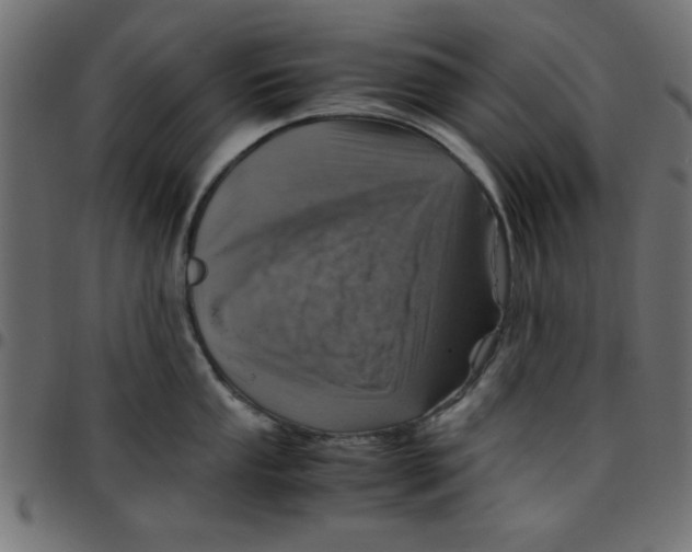 X0000096941053200803071002