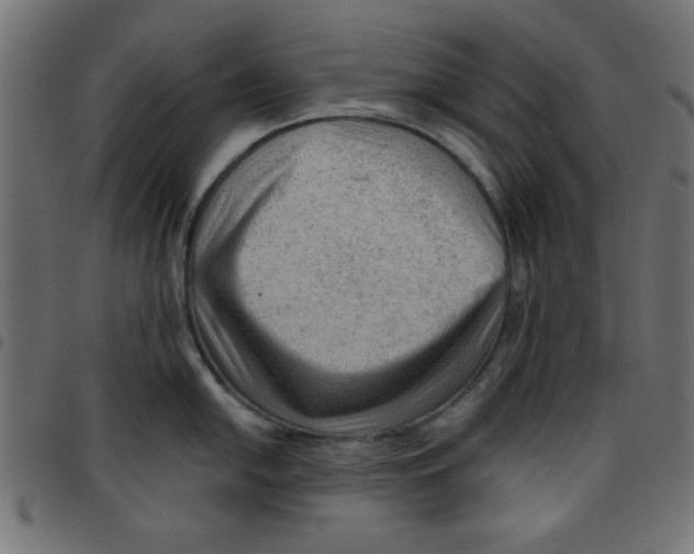 X0000096941054200803071002