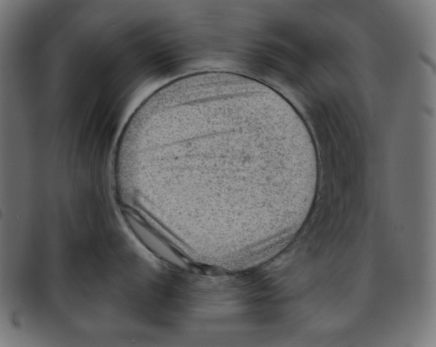 X0000096941056200803071002
