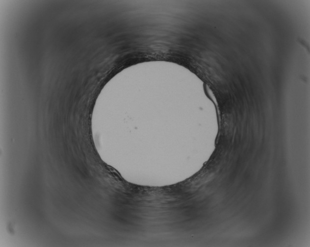 X0000096941057200803071001