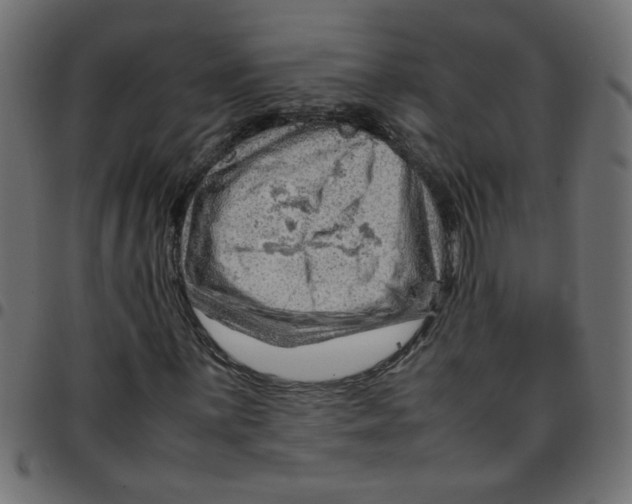 X0000096941059200803071001