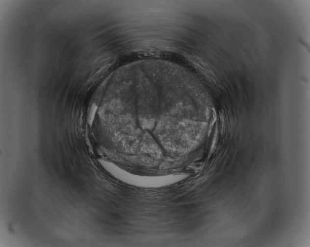 X0000096941060200803071001