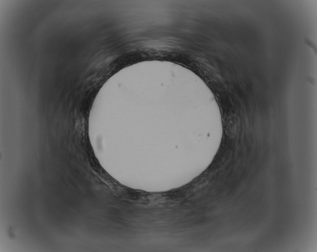 X0000096941061200803071001