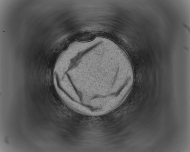X0000096941062200803071001