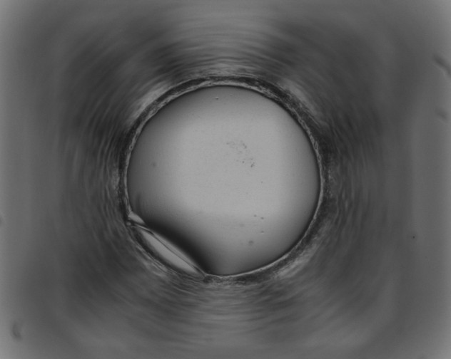 X0000096941065200803071001