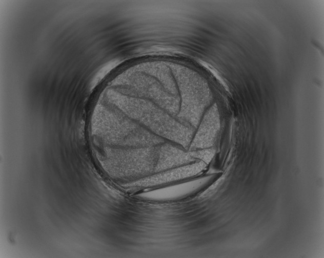 X0000096941066200803071001
