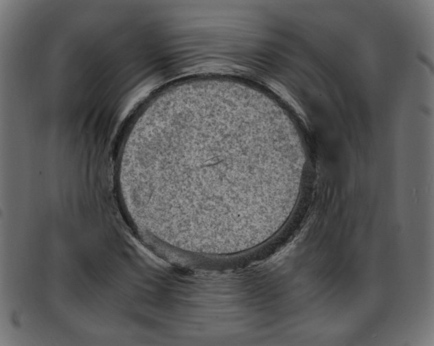 X0000096941067200803071001