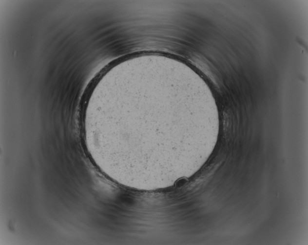 X0000096941068200803071001