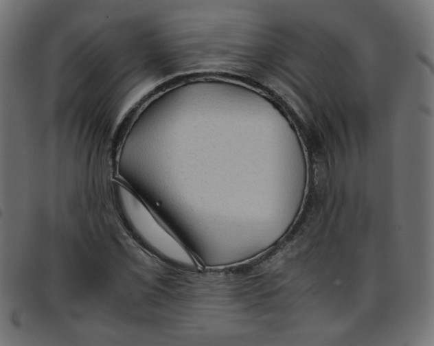 X0000096941069200803071001