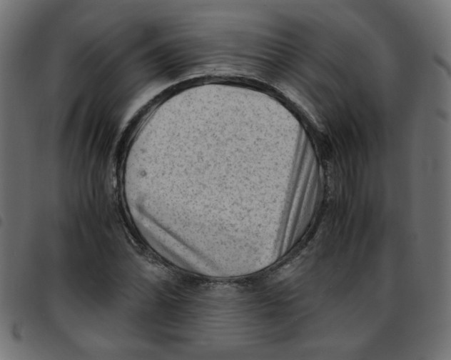 X0000096941070200803071001
