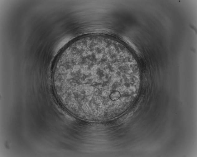 X0000096941071200803071001