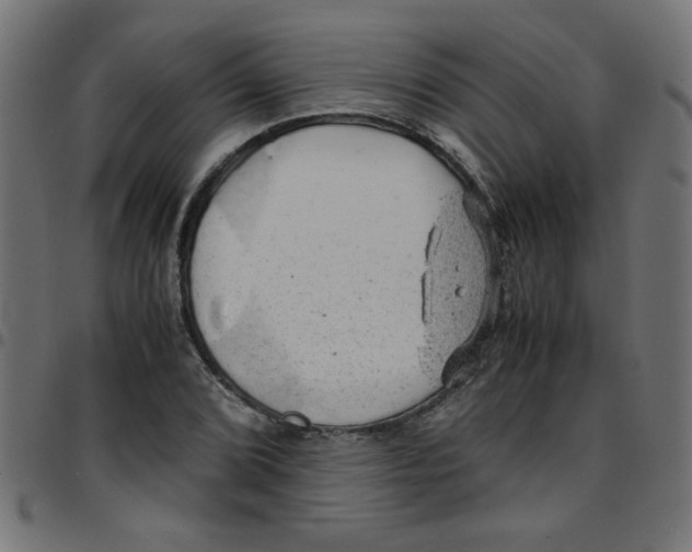 X0000096941072200803071001