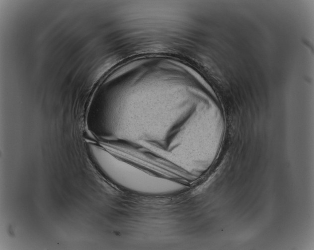 X0000096941073200803071001