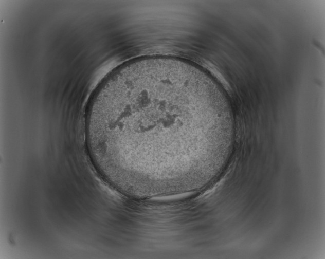 X0000096941075200803071001