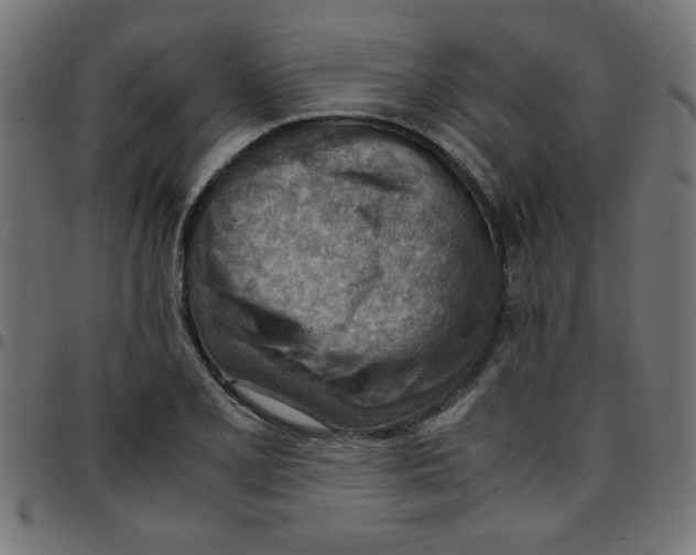 X0000096941077200803071001