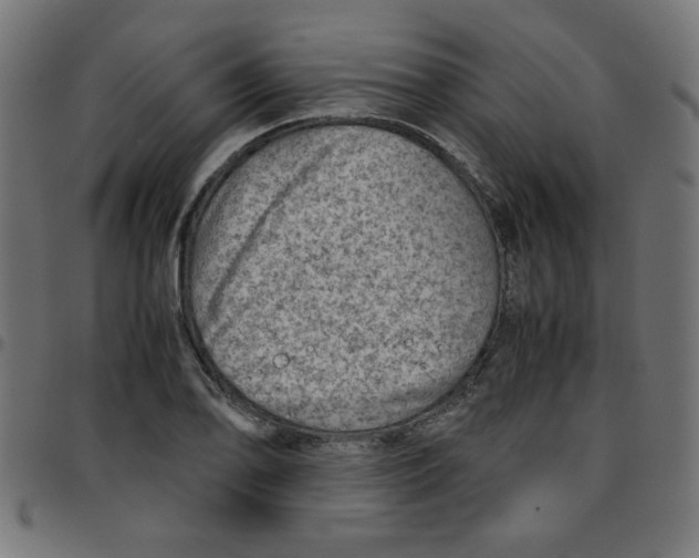 X0000096941078200803071001
