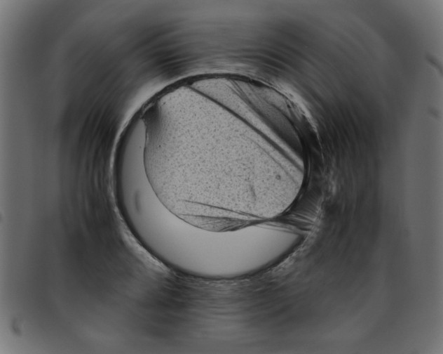 X0000096941080200803071001