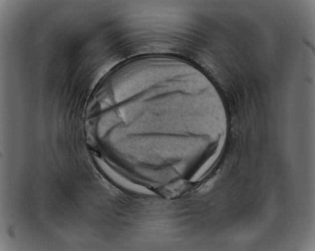 X0000096941081200803071001