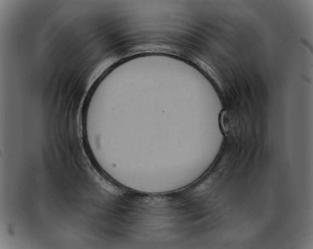 X0000096941082200803071001