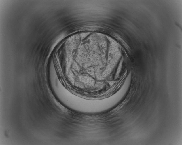 X0000096941083200803071001