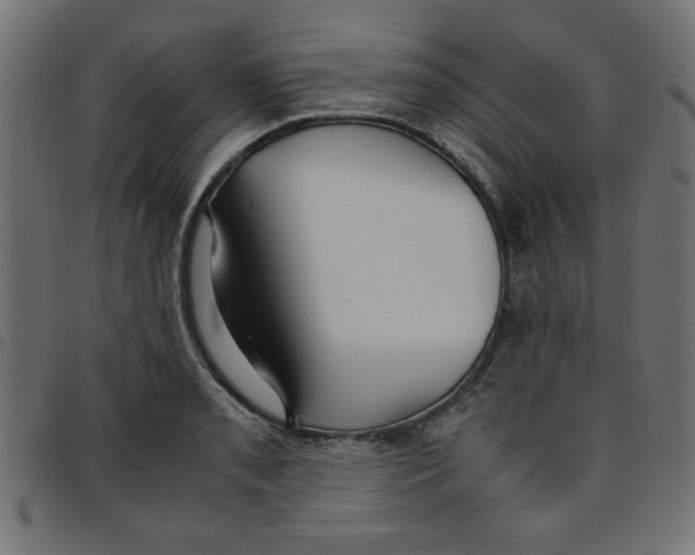 X0000096941085200803071001