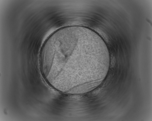 X0000096941086200803071001