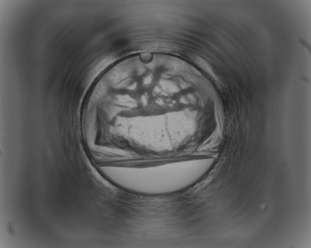X0000096941087200803071000