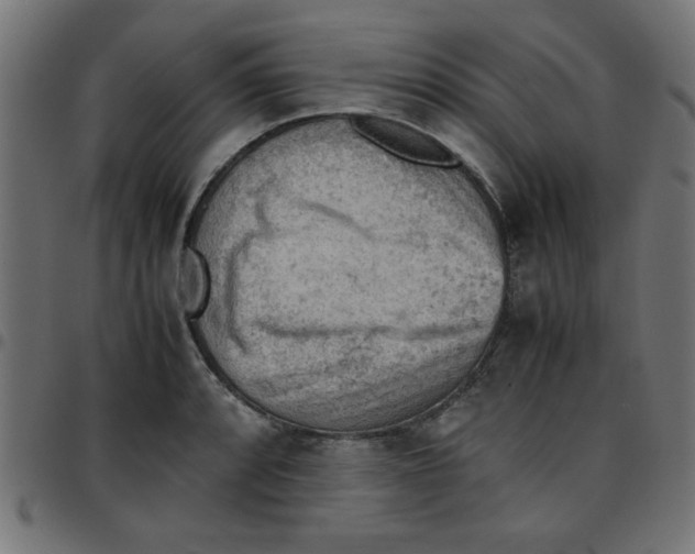 X0000096941088200803071000