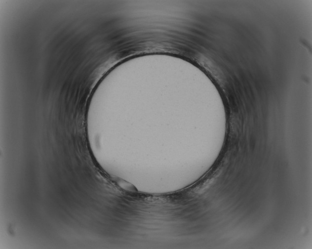 X0000096941089200803071000