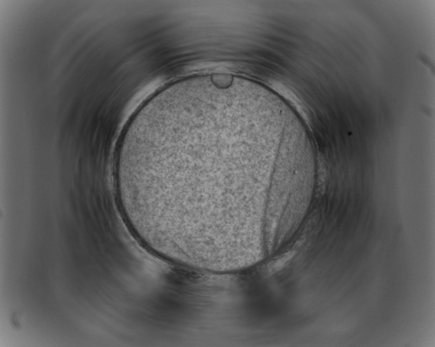 X0000096941090200803071000