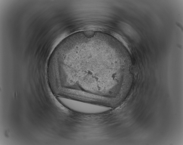 X0000096941091200803071000