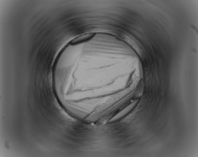 X0000096941092200803071000