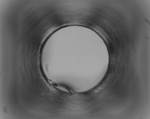 X0000096941093200803071000