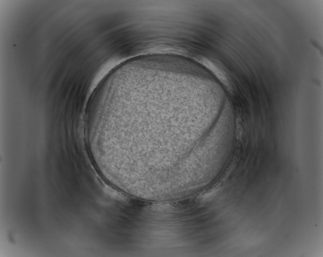 X0000096941094200803071000