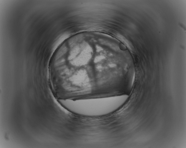 X0000096941095200803071000