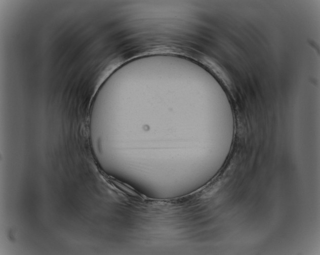 X0000096941097200803071000