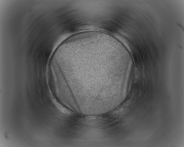 X0000096941098200803071000
