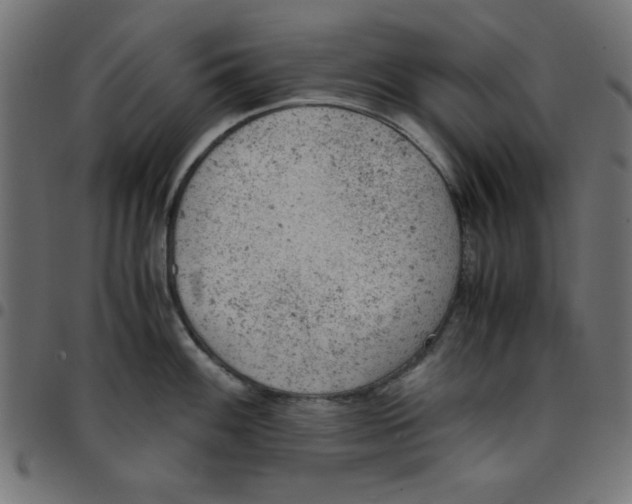 X0000096941100200803071000