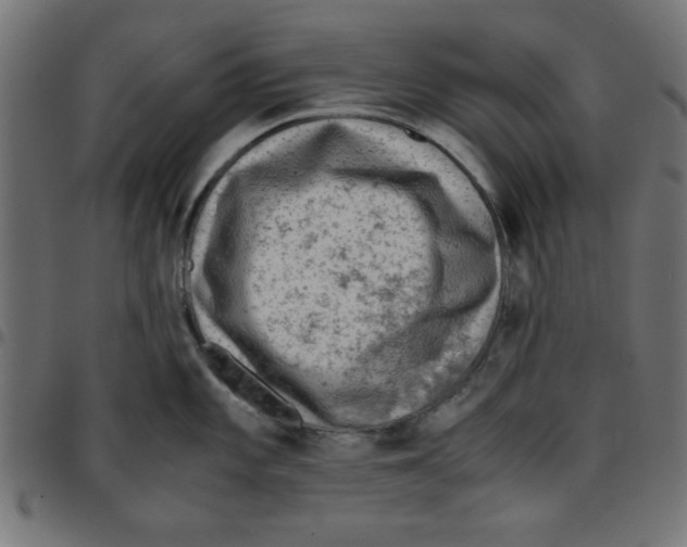 X0000096941101200803071000