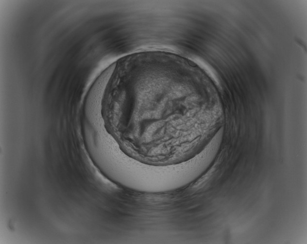 X0000096941102200803071000